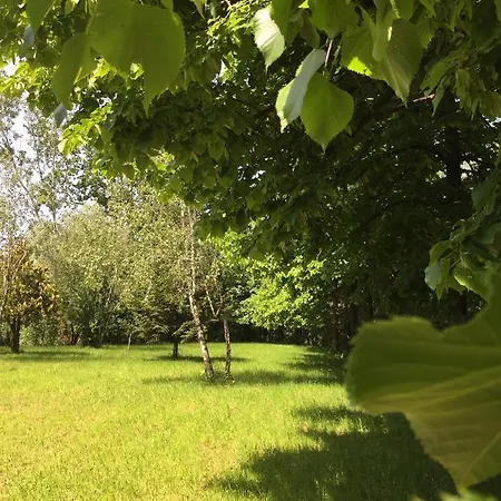 Happy Hill - Bambu- Natura E Relax