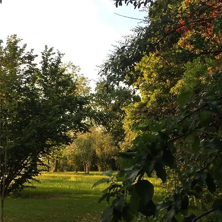 Happy Hill - Bambu- Natura E Relax Σπίτι διακοπών *