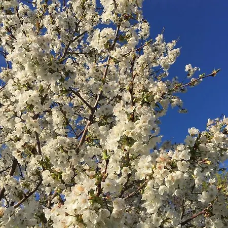 Happy Hill - Bambu- Natura E Relax * Santa Maria Rocca