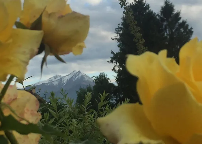 Happy Hill - Bambu- Natura E Relax *