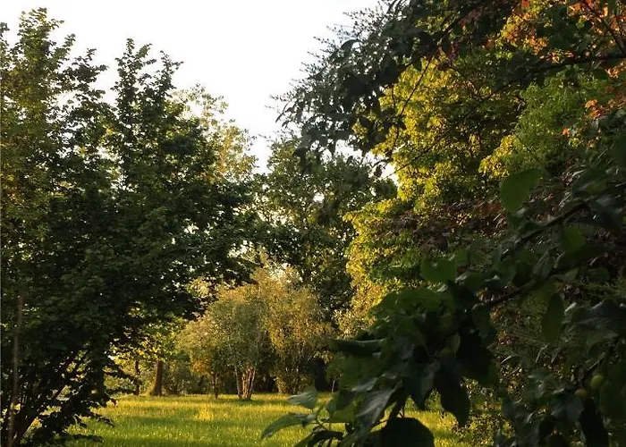 Happy Hill - Bambu- Natura E Relax Feriehus *